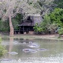 ZMB NOR SouthLuangwa 2016DEC10 NP 013 : 2016, 2016 - African Adventures, Africa, Date, December, Eastern, Month, National Park, Northern, Places, South Luangwa, Trips, Year, Zambia